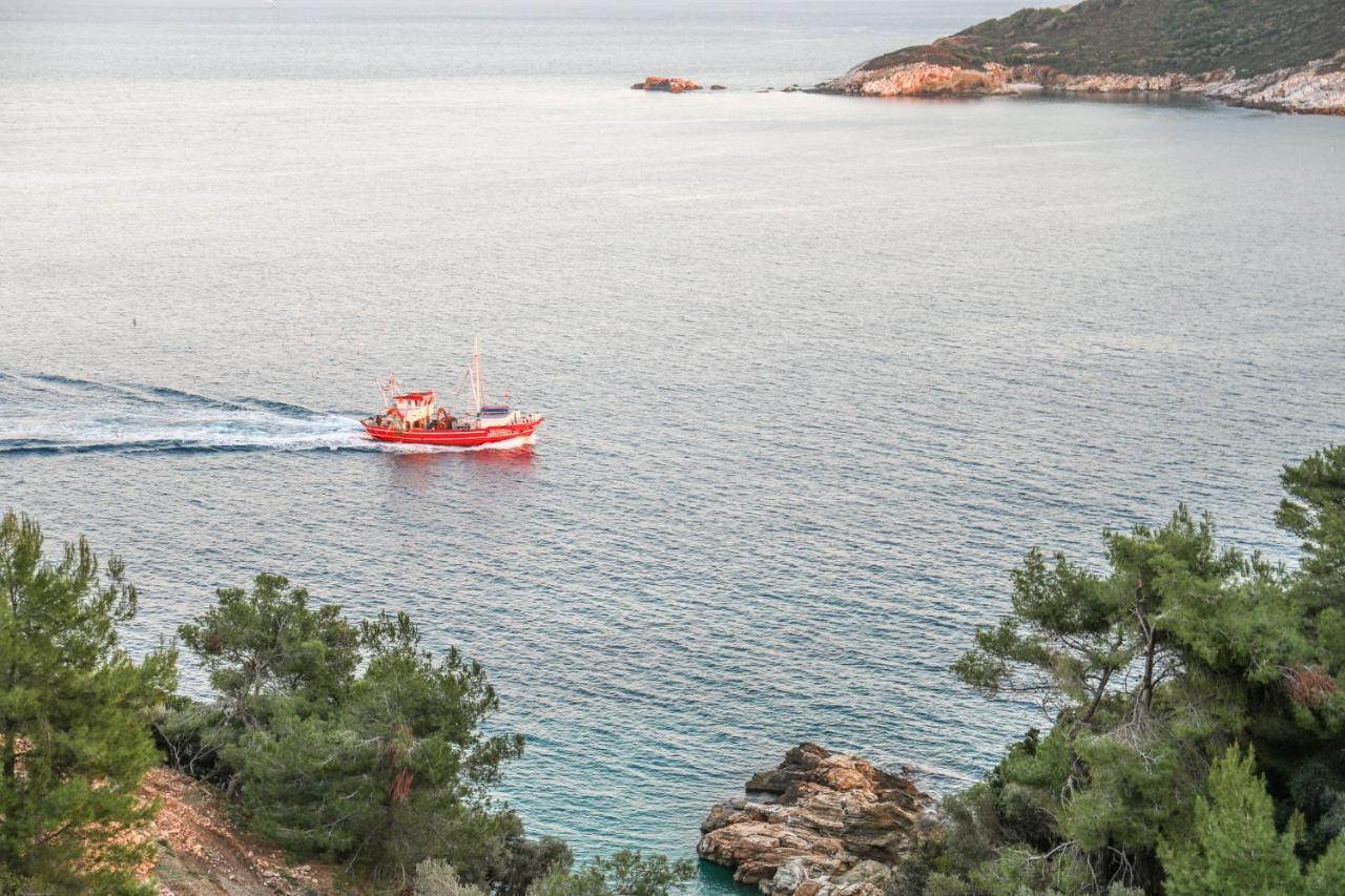 Thalasses Villas Skiathos Punta Exterior foto